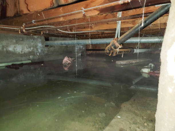 Best Water damage restoration company  in Kings Mountain, NC