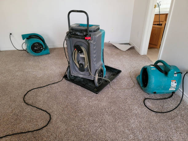 Best Water damage cleanup near me  in Kings Mountain, NC