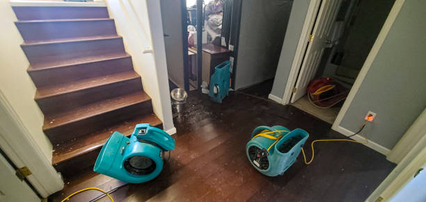 Best Professional water damage repair  in Kings Mountain, NC