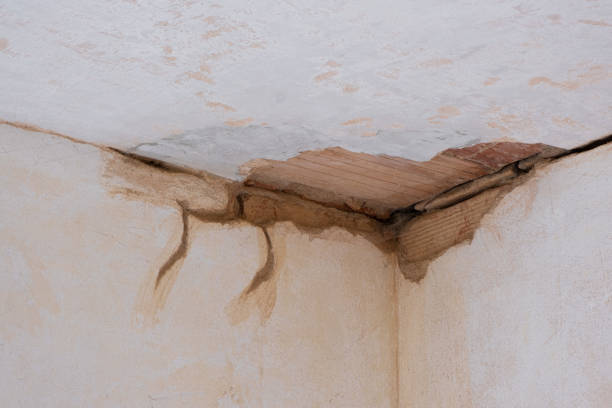 Best Professional water damage repair  in Kings Mountain, NC