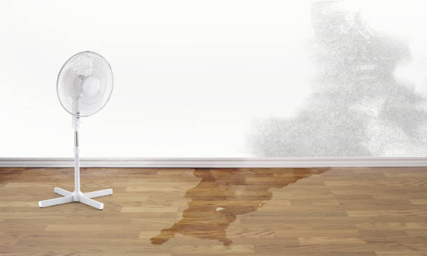 Best Sewage cleanup and water damage restoration  in Kings Mountain, NC
